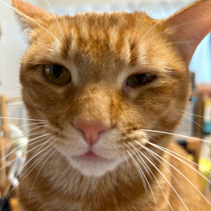 54d39196 203c 41db b06c 915b95cf9053 1705029800369