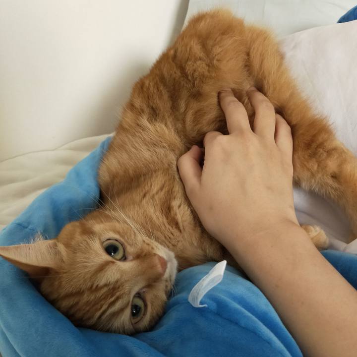 54d3b227 78f7 4b7d a650 ef3c91a202ec 1596675879970