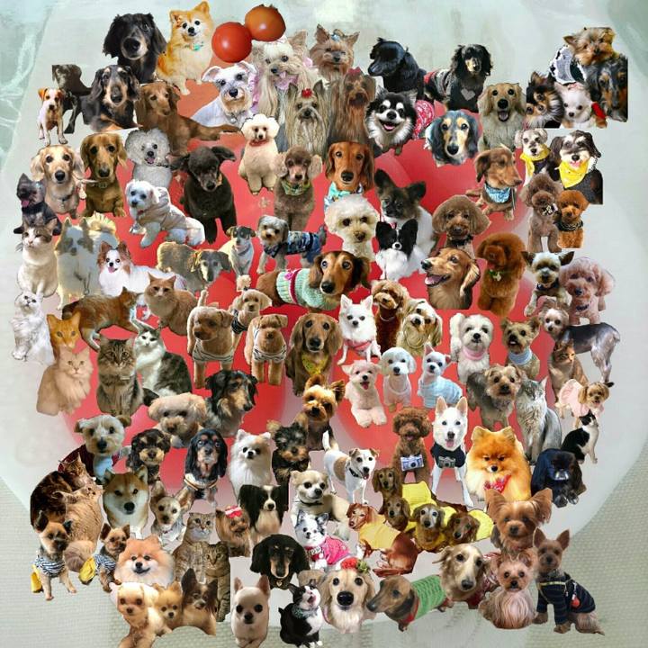 54d3ba66 643c 4ae7 8a6e 8854ed7c0dd4 1552812909571