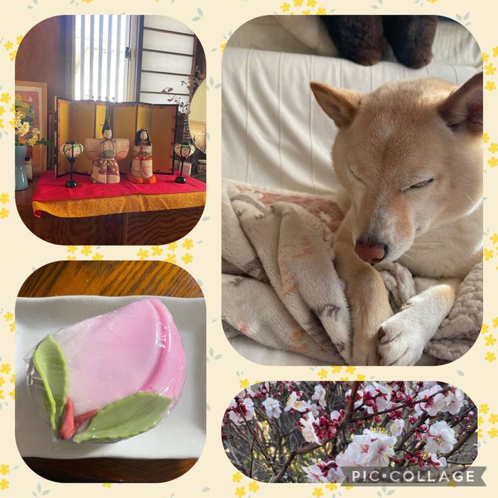 54d3d393 50fb 4a47 9033 9b0839f6ed42 1677848459686