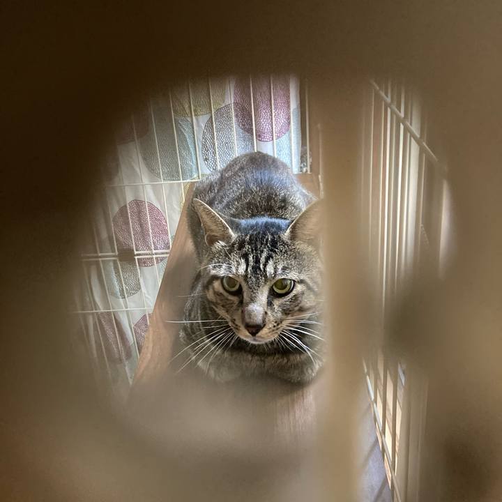 54d3ea87 a82f 492d 90a0 992d1e30a8b9 1660000499762