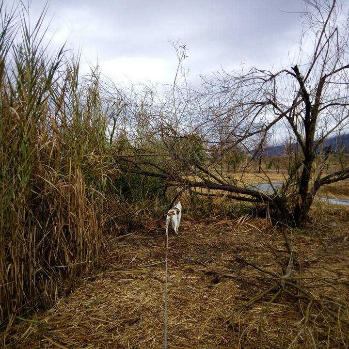 54d403a2 439f 429f 9a5d bf05c4c300a5 1515398929804