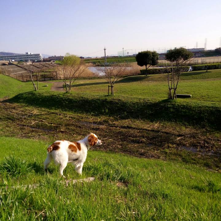 54d404e2 a2e1 462f af5f c347da4660be 1522023141062