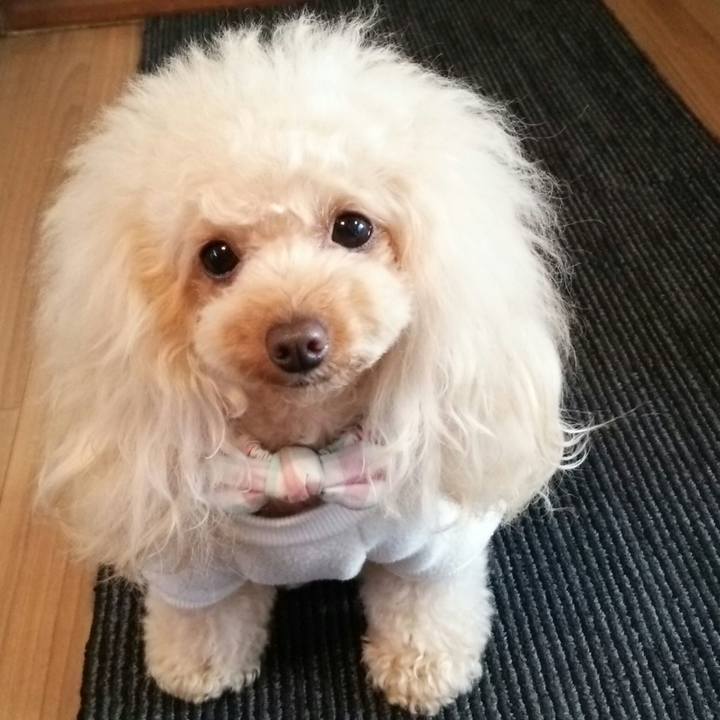 54d4094a 34c5 4831 a5aa 9a1fa79a0481 1515069166914