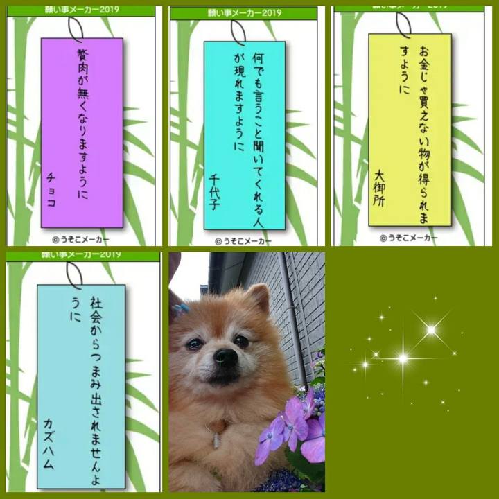 54d416ea 0119 48d7 855d 58d3721b9e34 1562499997831