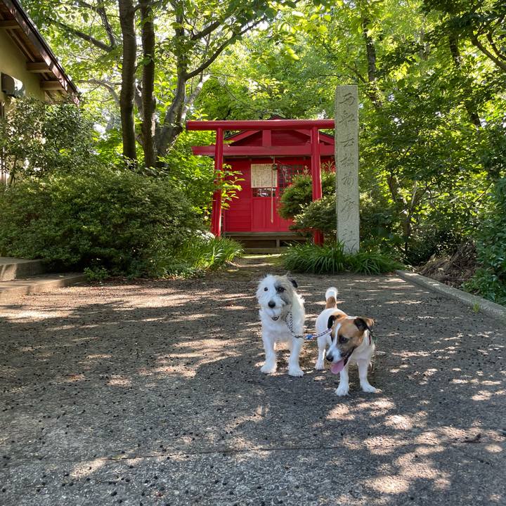 54d462a8 2f56 46ba b0be 0bad25d094ef 1656632770493