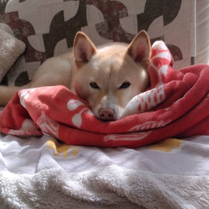 54d46561 c521 46d2 89dc 9f650d24ba4c 1582945459540