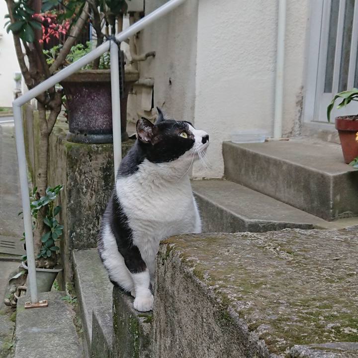 54d47548 949b 4b86 9e27 61e3cd23bd9b 1546757622879