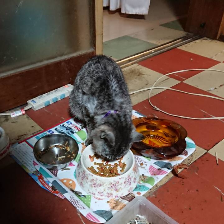 54d47dc6 c139 413f 9ea4 8af6e8ccc18e 1593850965743