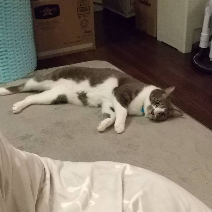 54d48209 e125 4059 91ff 4d3961f92f76 1618316455686