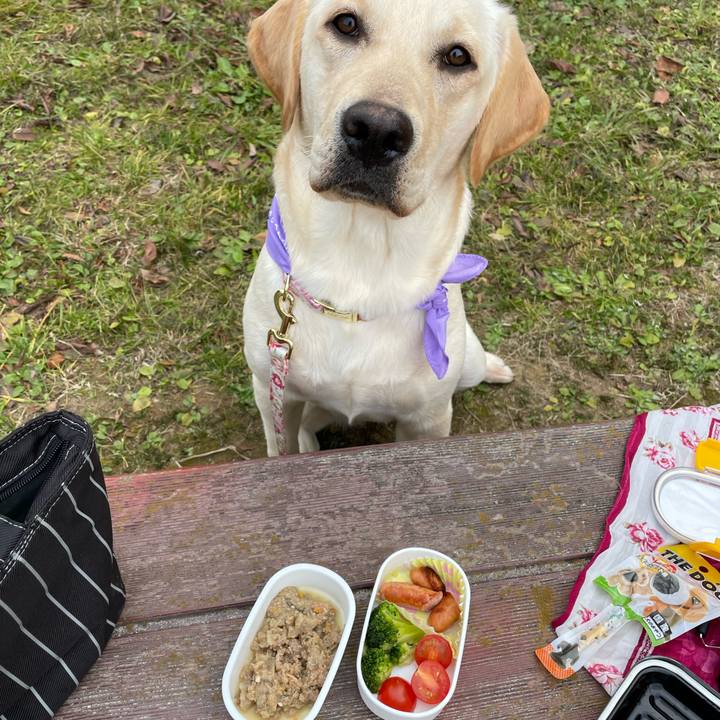 54d4947a 9705 4fb1 b351 a7075818aec4 1641706251185