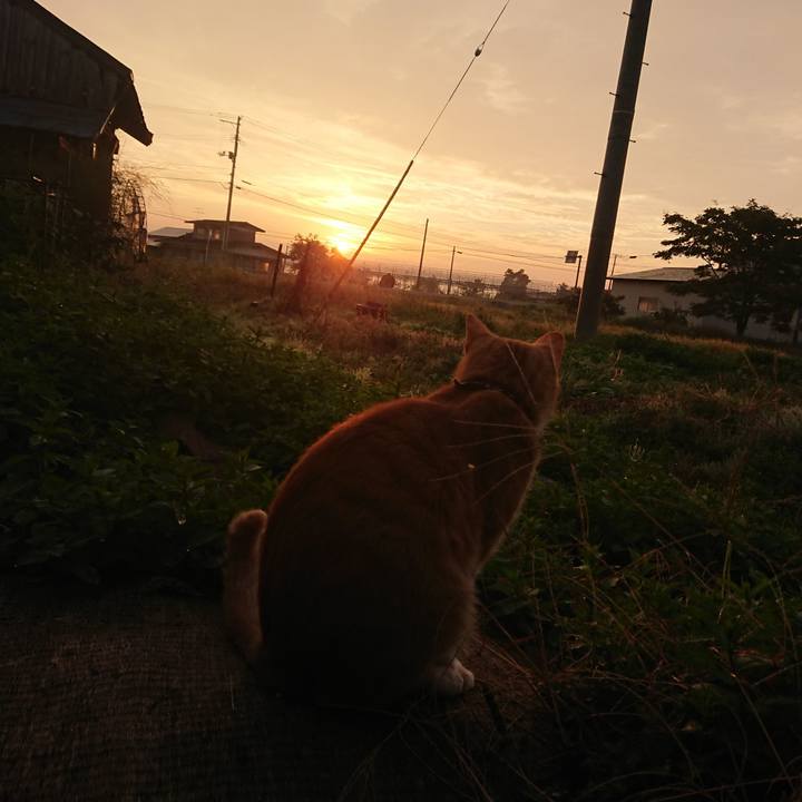 54d49abf ffa8 4a2a 8475 97954bfd7804 1570049775412