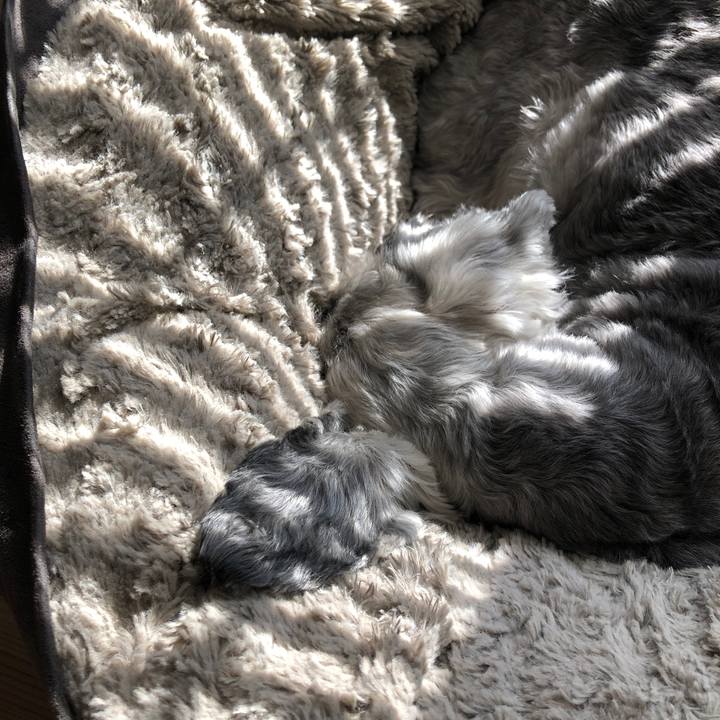 54d4aa10 e1d1 4035 8642 08eeddb1060e 1765159554061