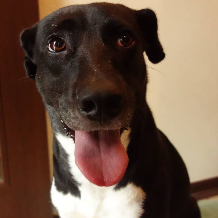 54d4ae39 4b0b 4f1a 96ab 8b35e3c8d866 1595549149524