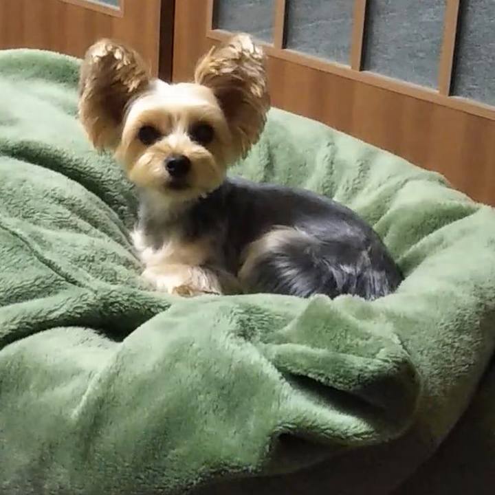 54d4cb16 4522 47dd 9a0b f758e2e4bd65 1602379012198