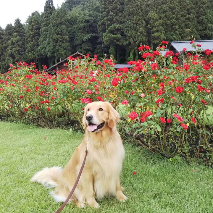 54d4d880 9b3f 41ba 8cc4 6f8340871373 1546829313873