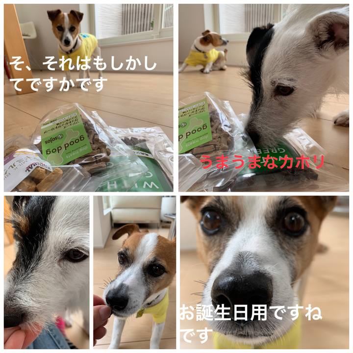 54d5219e 8e99 4242 84d2 09c5bace39ce 1562220945885