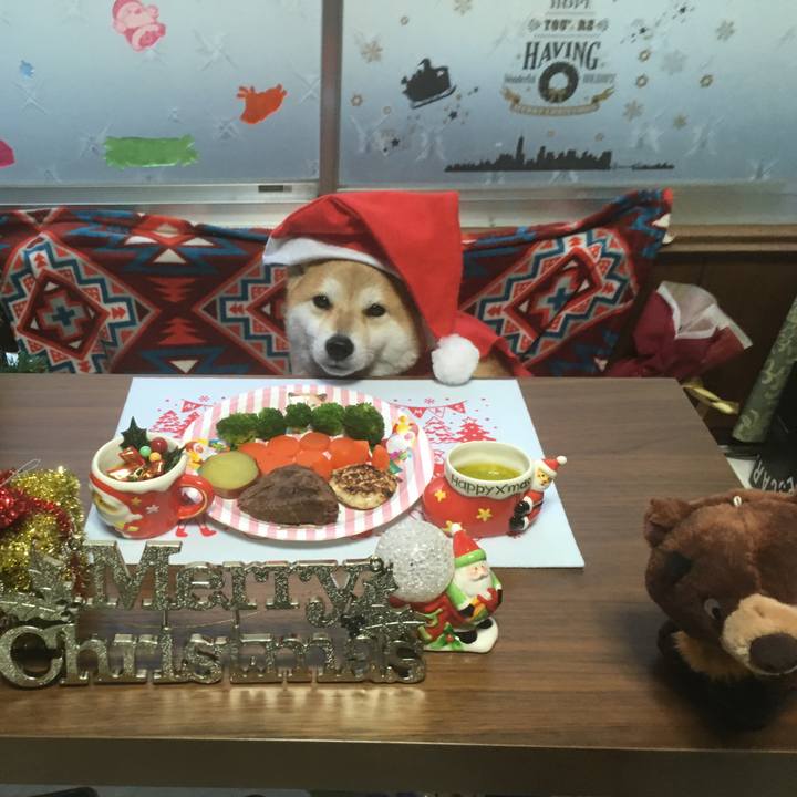 54d5a902 24df 4a90 8beb 30fae3edf2f5 1545641308930