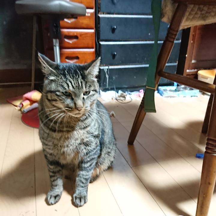 54d5b9c1 d436 45dc a1f6 f9705a251a60 1639860166445