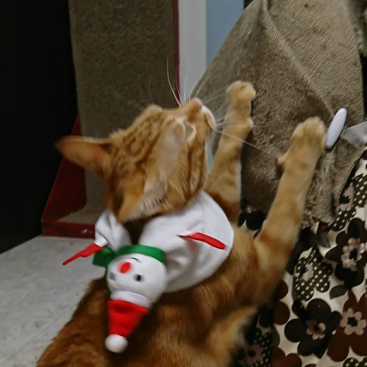 54d5c129 0fdb 44fb 809d 4dbaaca94b86 1512212533922