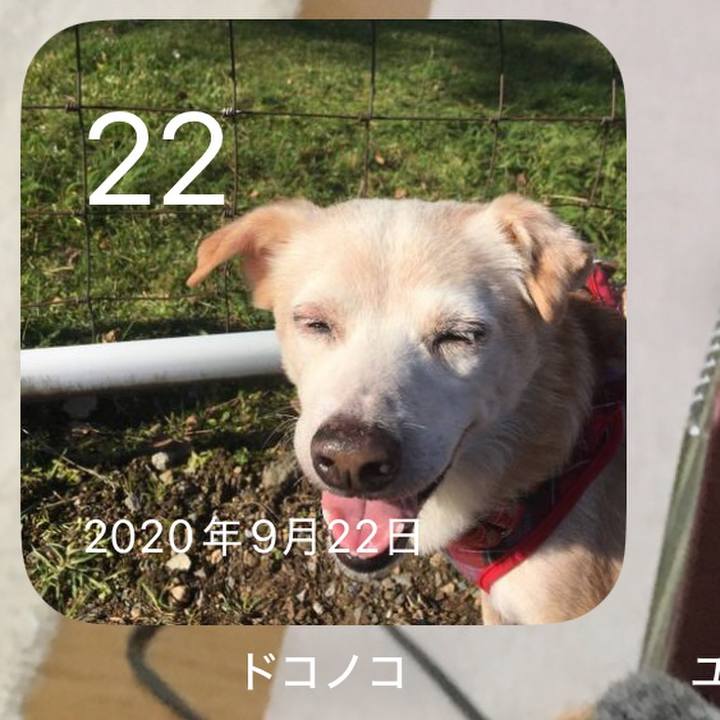 54d5fa11 e0f5 44e5 8dcd e2ccf73161a9 1758494207841
