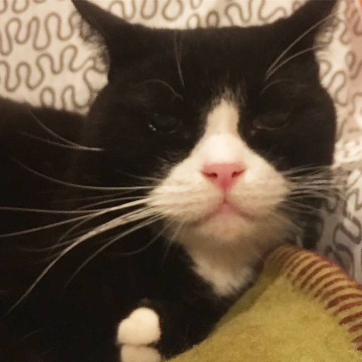 54d5ff87 f03f 496b 95e4 96352a87dd66 1542897880268