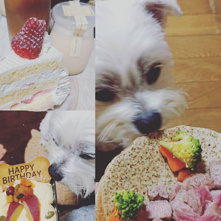 54d600d7 0705 4f87 bd19 ab44e65d0dd5 1616636489025