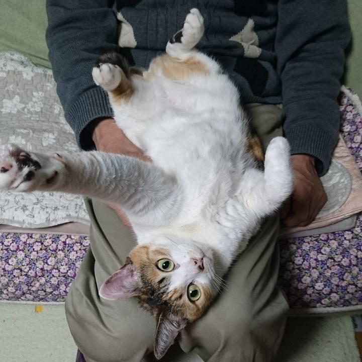 54d6028a 3a40 413c 998f 95f0220ee9c5 1590910849841