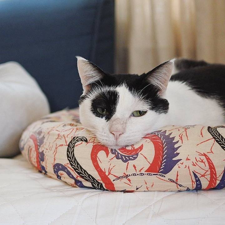 54d61346 2532 4ea1 8db2 9693126e2ec5 1602742903112