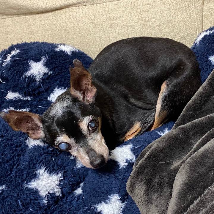 54d632c3 97df 4475 92cf ac1064960b2f 1573998626379