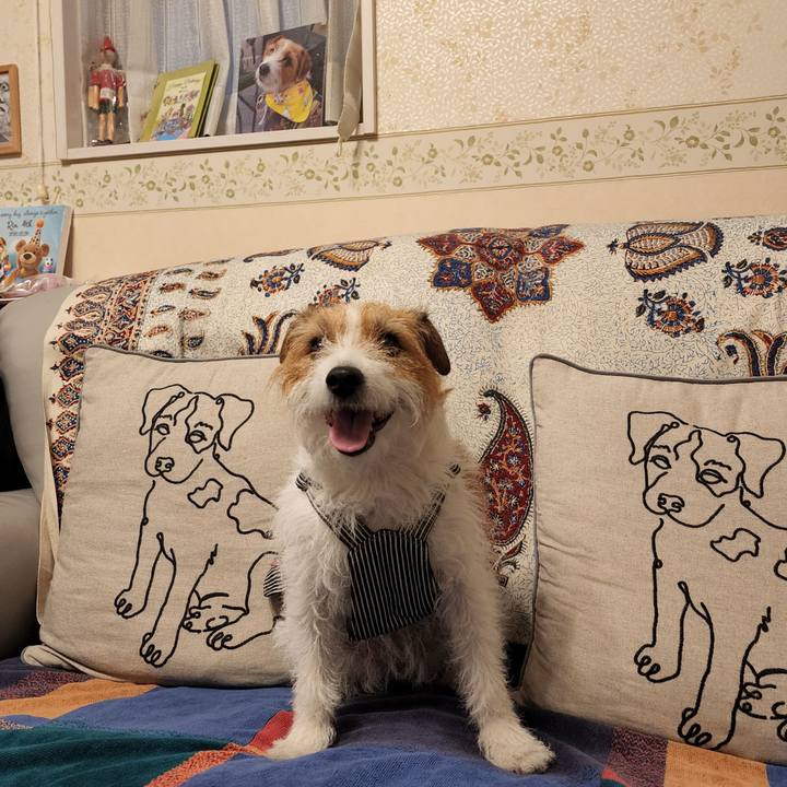 54d66947 b5c4 41e0 8944 22532d1b9d6e 1684746509409