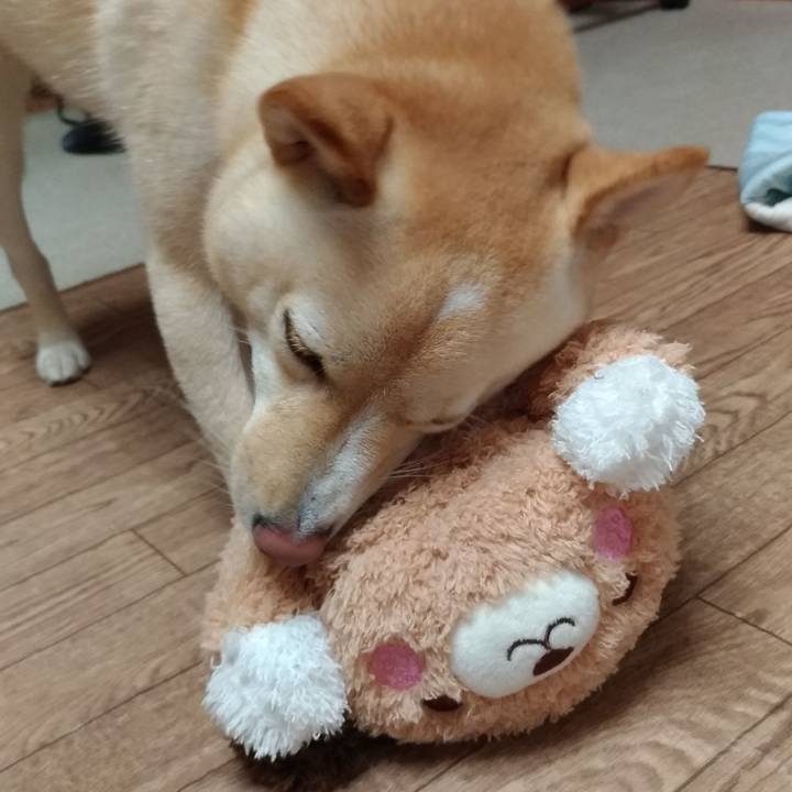 54d67569 860a 4fa8 a7b1 8a69a19f37fa 1537166035441