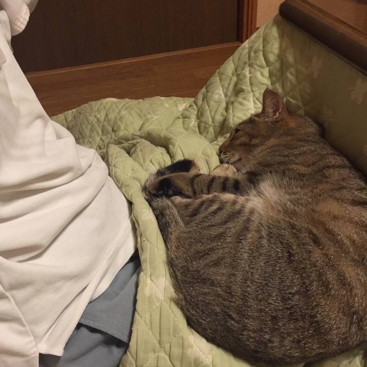 54d67b8d f8d3 4955 af34 5bb9ab9089df 1508152066202