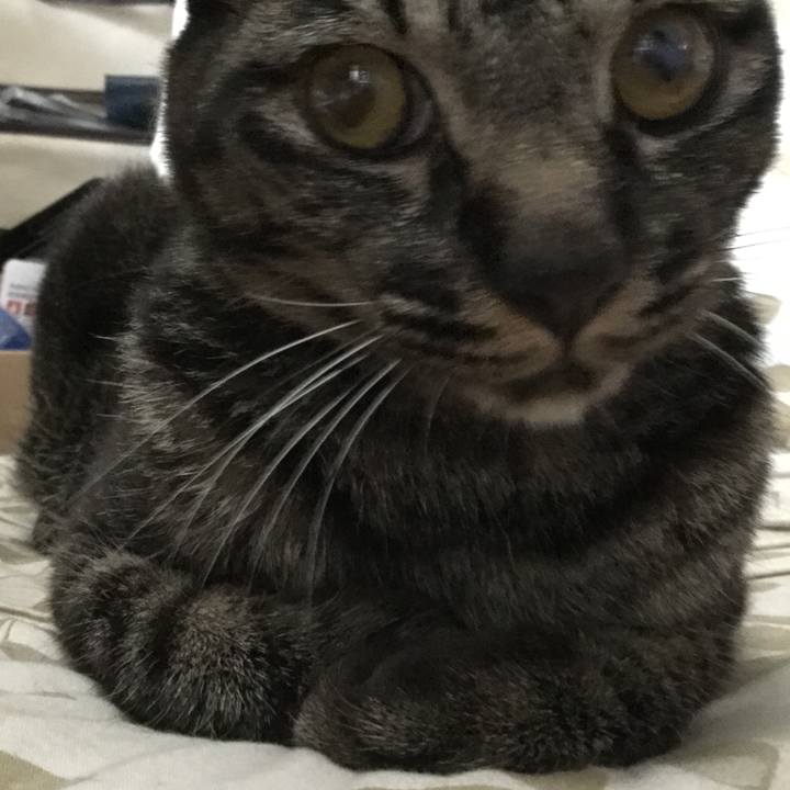 54d6875b aad8 403b 96e2 0699d6d80623 1564619415020