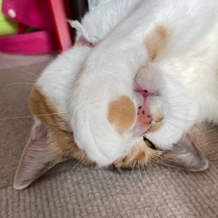 54d6d807 51a4 45ce bf3f cc83e4b1c41a 1625902570821