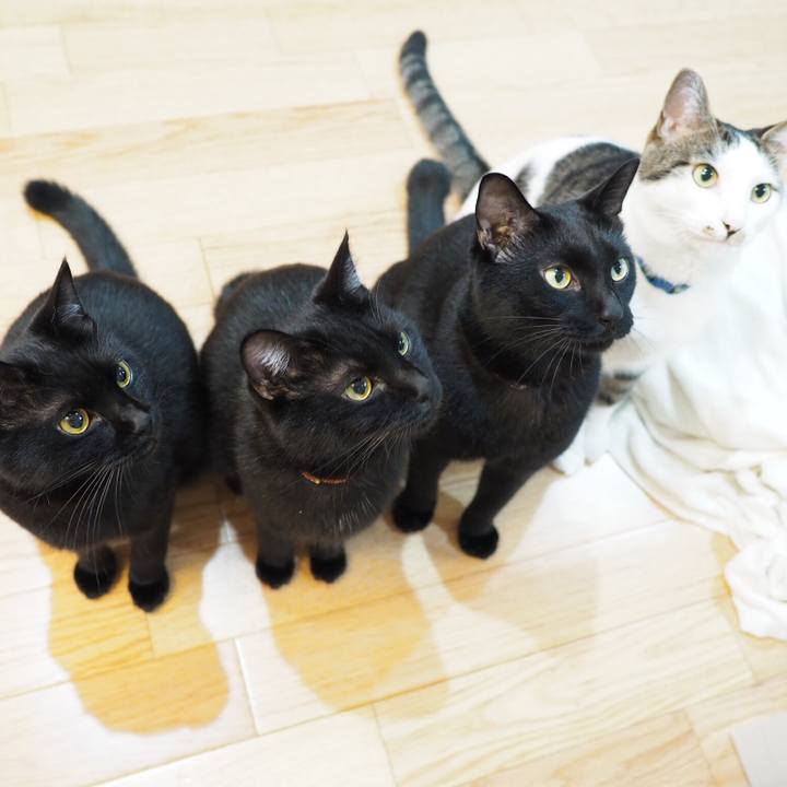 54d6e17b 93bc 43a1 ab9f 81384bbe2eb9 1535157458390