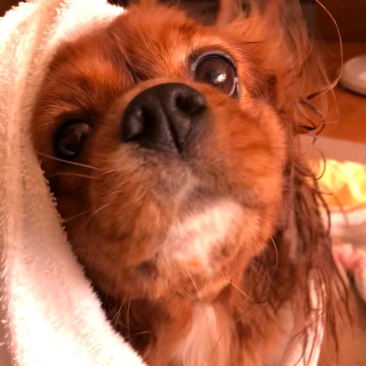 54d711f6 69f0 4e1e a0b7 a619a352694f 1609587512181