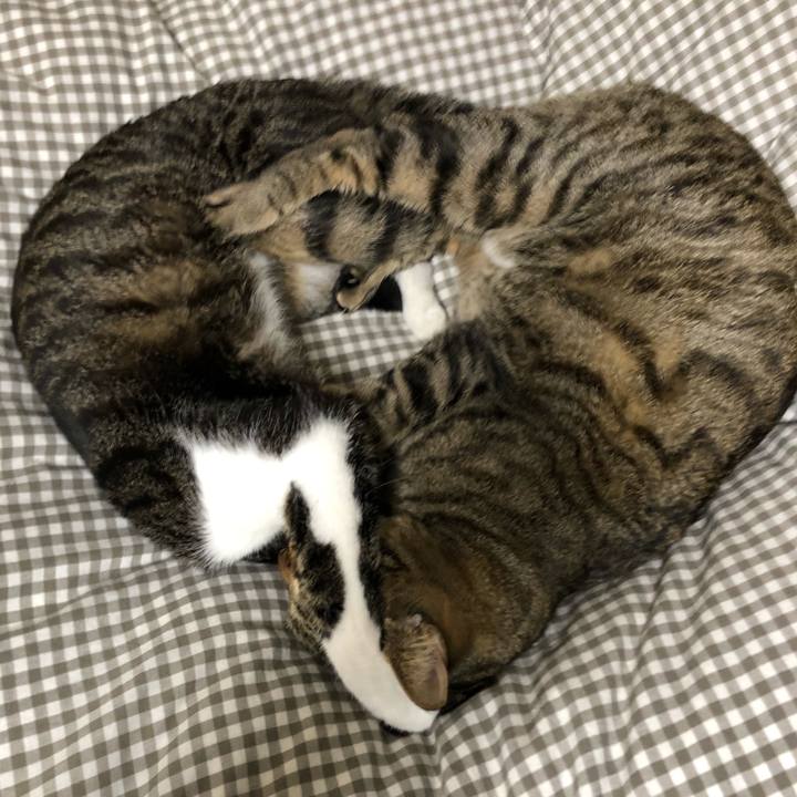 54d7224f c887 47fb a6a1 8ca7b4238d43 1516360666969