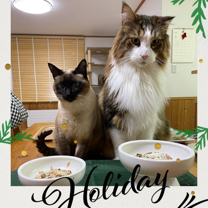 54d722a7 aead 4d4f a146 bd0e303776cd 1766660146925