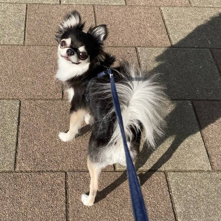 54d737ab f5a6 41f8 a3a0 11345159a0a1 1657376898371