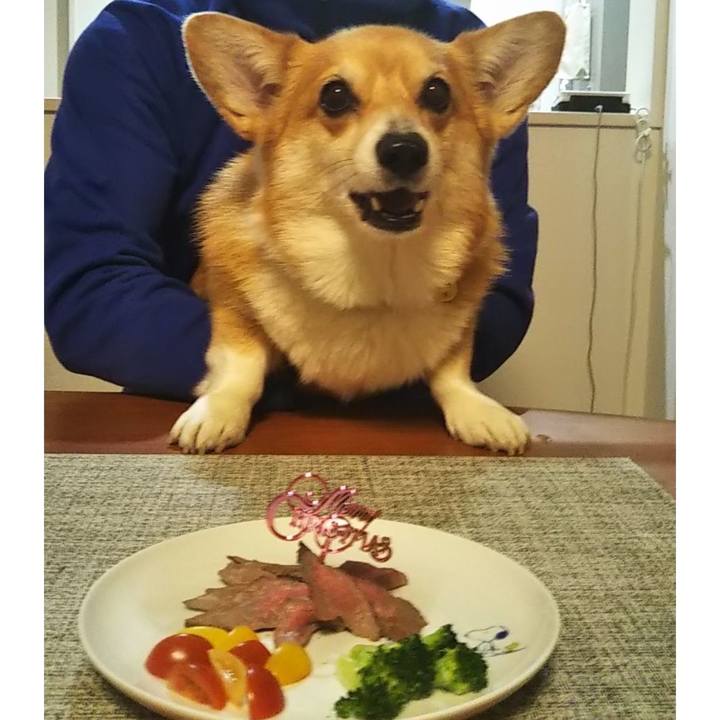 54d750a5 4343 4988 aee4 9e7a47e09f07 1640441640560