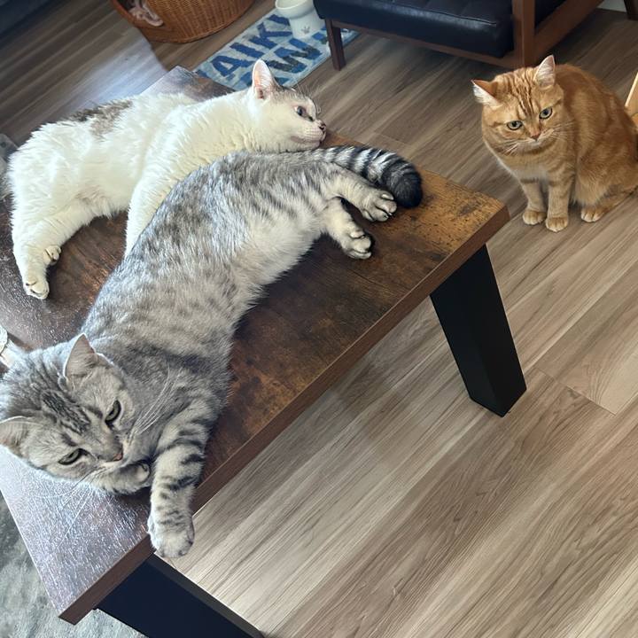 54d7693f cfcb 4688 9555 52f4dde5c441 1723542224571