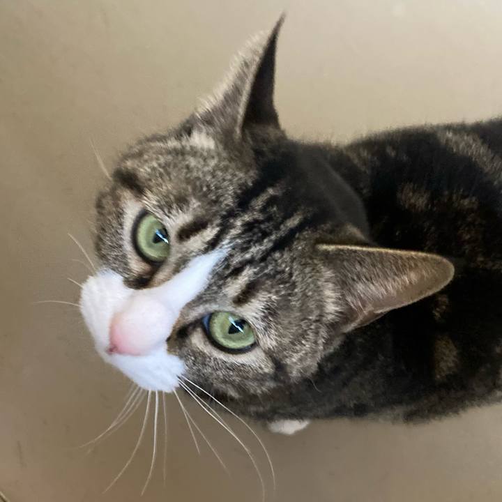 54d76a1f 4f62 40c4 8dcf 1c6f5e8b95c6 1614076693460