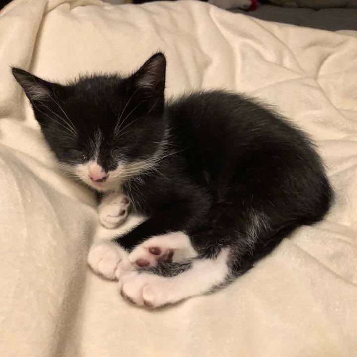 54d77ae6 3231 4e53 91a0 f04eb9009753 1538057242621