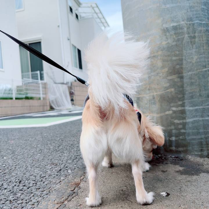 54d7e678 5f20 4397 a733 b0408e9fc36b 1715499872466