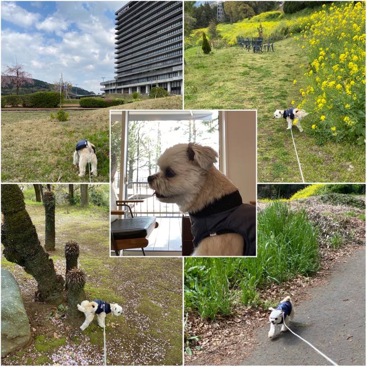 54d7fe76 1e88 4240 bef0 03df42d2bd4e 1586072034128