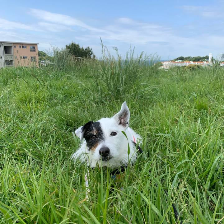 54d83040 baff 4b83 ba8d 0af572cbd09e 1746664087702