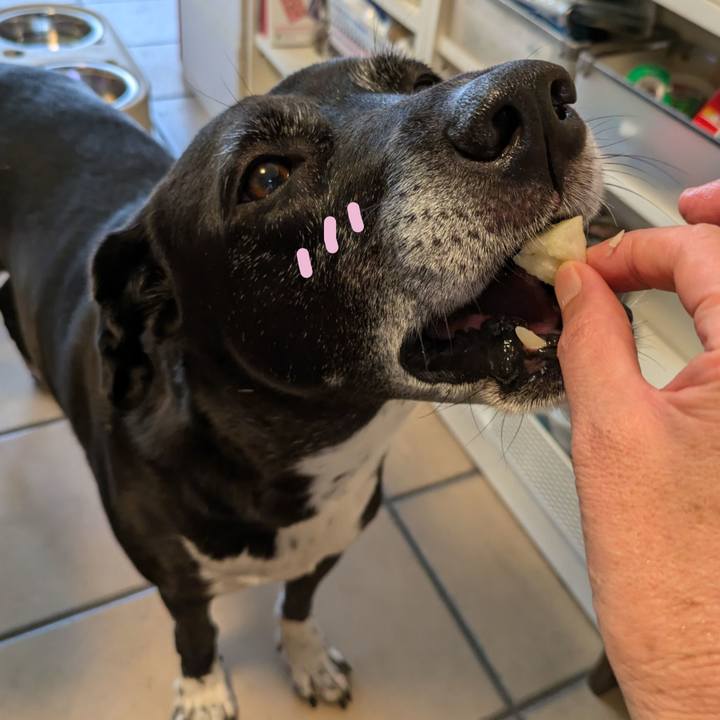 54d872f7 8424 47c8 b262 00531c8191e4 1726312386330