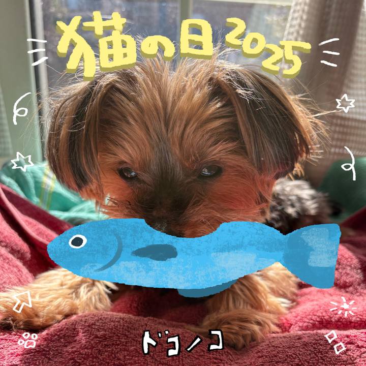 54d8756e ea70 477a 84a5 6322eaedb55e 1740116028396