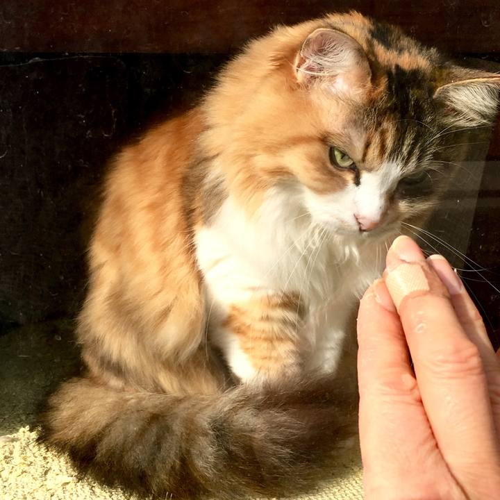 54d87b34 ccd4 4094 9a39 de41c1dd5330 1556055927676